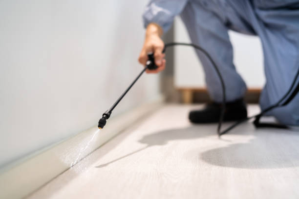 Bed Bug Pre-Treatment Preparation Assessment in Vero Lake Estates