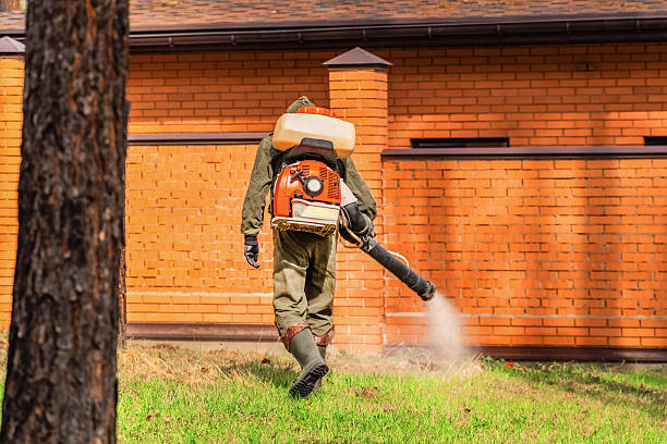 Bed Bug Clearance Verification and Documentation in Vero Lake Estates
